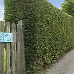 Mosselbank 93 - Noordzeepark Ouddorp, With Private Front And Back Garden Near The - Not For Companies آودورب